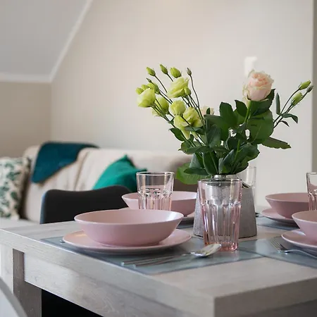 Apartament Róża Bałtyku - I B Dębki