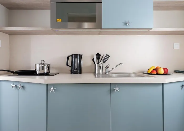 Roza Baltyku - I B Dębki